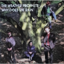 Weather prophets - Why Does The Rain ACID 2T