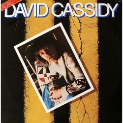 David Cassidy - Gettin' it in the street PL-11852