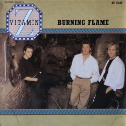 Vitamin z - Burning Flame 884 324 - 1Q