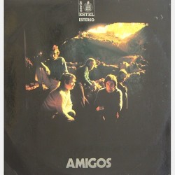 Amigos - Amigos HHS 11-224