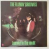 Flamin Groovies - Jumpin in the Night SRK 6067