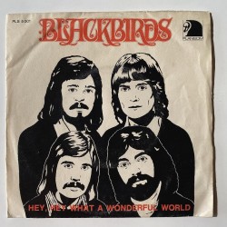 Blackbirds - Hey