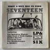 Various Artist - What A Nice Way To Turn Seventeen No. 6  Seventeen 06