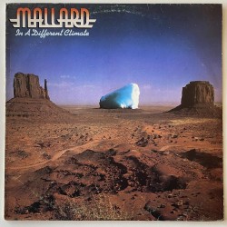 Mallard - In a different Climate STEREO 184
