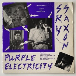 Sky Sunlight Saxon and the Purple Electricity - Private Party VXS 200.041