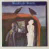 Blacklight Braille - Greet the Fool LP 713