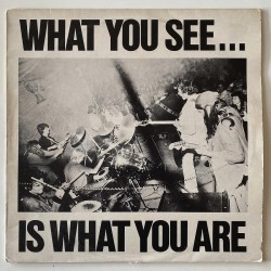 Alternative TV / Here and Now - What you see.. is what you are DLP 02