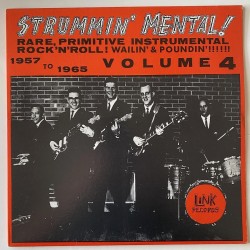 Various Artist - Strummin Mental Vol. 4 LR-4