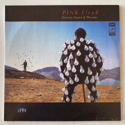 Pink Floyd - Delicate sound of Thunder A60 00543 007
