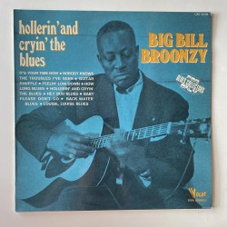 Big Bill Broonzy - Hollerin and crying the Blues LDM 30198