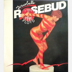 Rosebud - Discoballs - a tribute to pink Floyd S 90.001