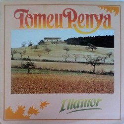 Tomeu Penya - Illamor A016