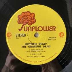 Grateful Dead - Historic Dead