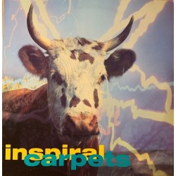 Inspiral Carpets - She Comes In The Fall dung 10t