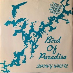 Snowy White  - Bird Of Paradise 12 TOW 42