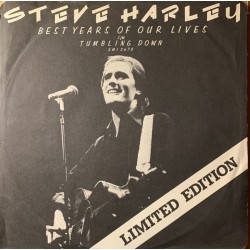 Steve Harley - Best Years Of Our Lives 12 EMI 2673