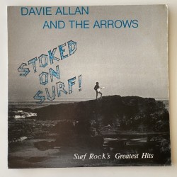 Dave Allan and the Arrows - Stocked on Surf W12-601