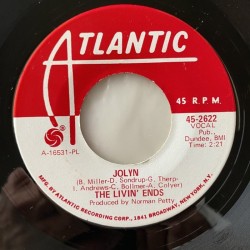 The Livin’ Ends - I Love you more than you’ll ever know 45-2622