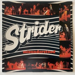 Strider - Misunderstood GML 1012
