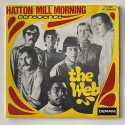 The Web - Hatton Mill Morning 17.020