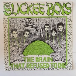 Slickee Boys - The Brain that refused to Die 004