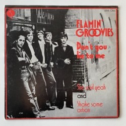 Flamin’ Groovies - Don’t you lie to me 6198 086