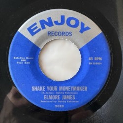 Elmore James - Shake your moneymaker 2022