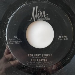 The Leaves - Too Many People 227