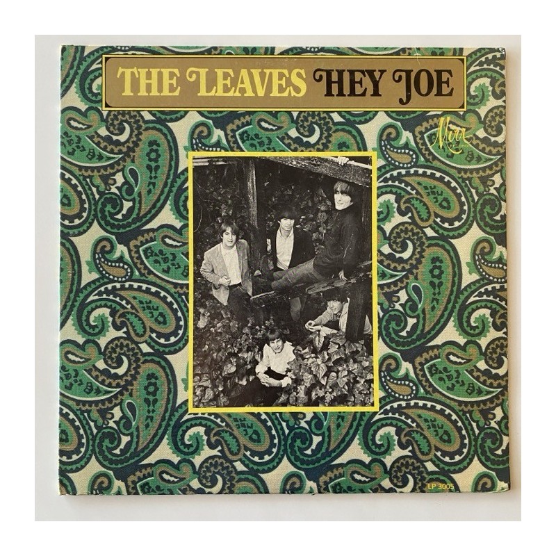 The Leaves - Hey Joe