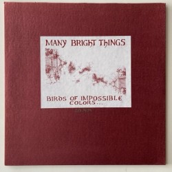 Many Bright Things - Birds of Impossible Color AELLP-006