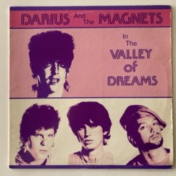 Darius and the Magnets - In the Valley of Dreams DJ 10001