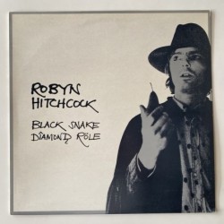 Robyn Hitchcock - Black Snake Diamond Role ARM 4