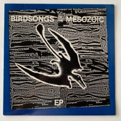 Birdsongs of the Mesozoic - Birdsongs of the Mesozoic EP AHS 1008