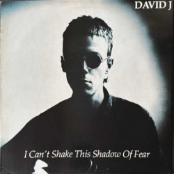 David J - I Can't Shake This Shadow Of Fear Glass 12039