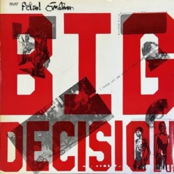 That Petrol Emotion - Big Decision TPEX1