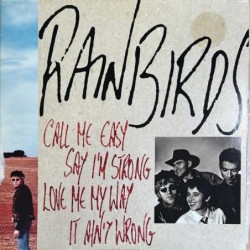 Rainbirds - Call Me Easy Say I'm Strong Love Me My Way It Ain't Wrong LP 838 176-1