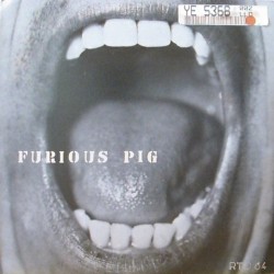 Furious pig - Furious pig RTO 64