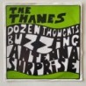 The Thanes - Dozen Thoughts Buzzing SCAP 023