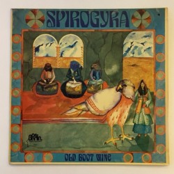 Spirogyra - Old Boot Wine Brain 1012