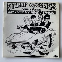 Flamin’ Groovies  - Way over my head FAN 001