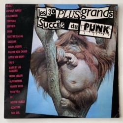 Various Artists - Les 30 Plus Grands Sucees du Punk SKI 2228/29