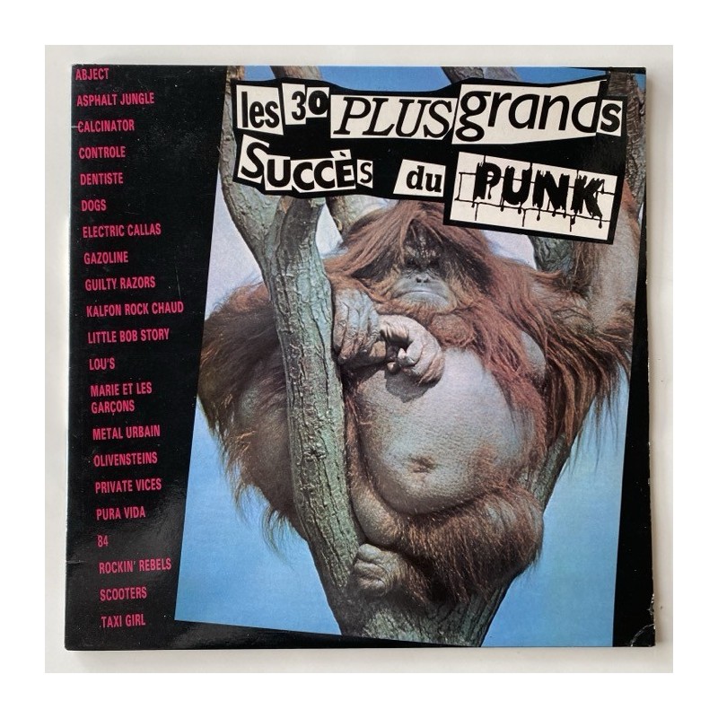 Various Artists - Les 30 Plus Grands Sucees du Punk SKI 2228/29