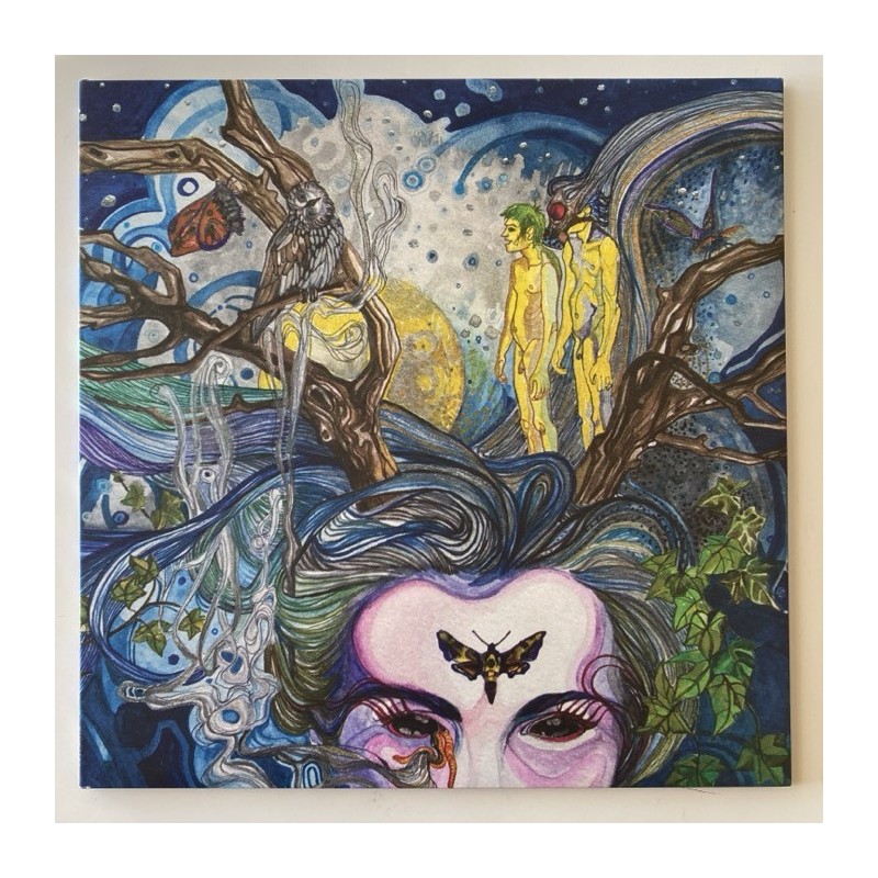 Arabs in Aspic - Pictures in a Dream BWR 152