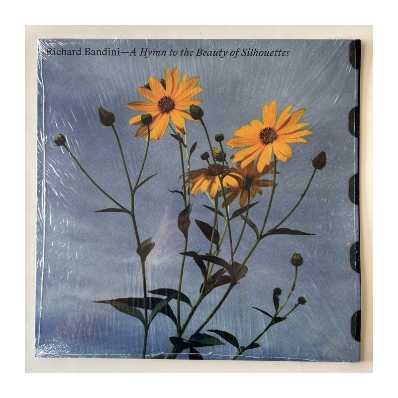 Richard Bandini - A Hymn to the Beauty of the Silhouettes HTBM04