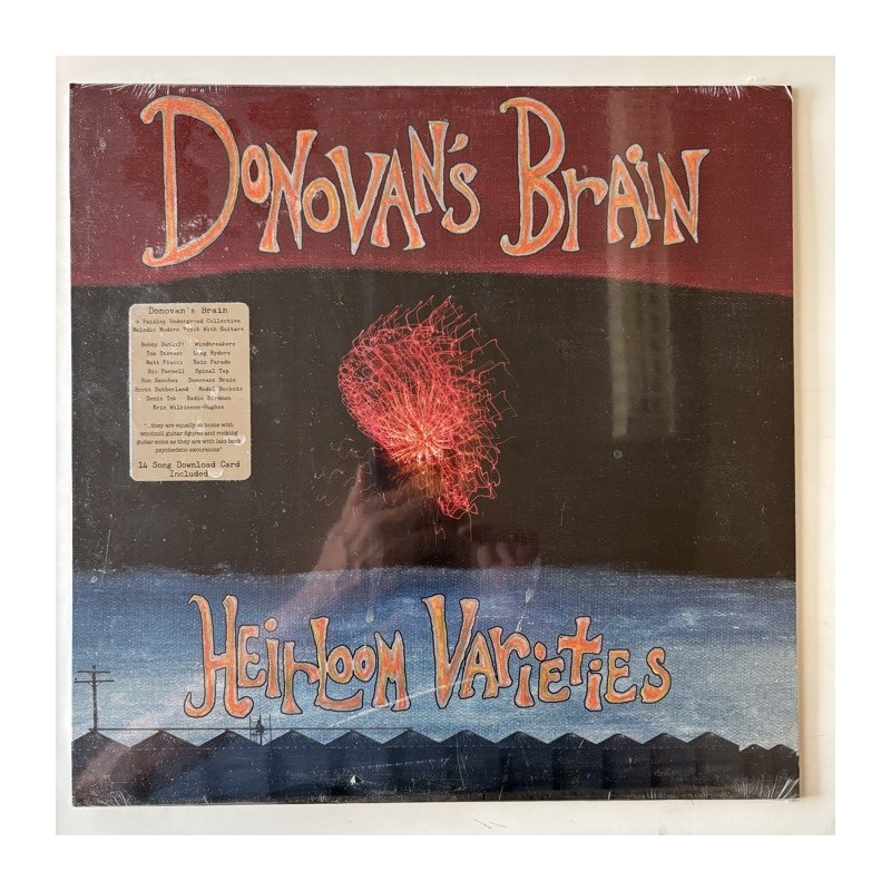 Donovan’s Brain - Heirloom Varieties CLP-1430