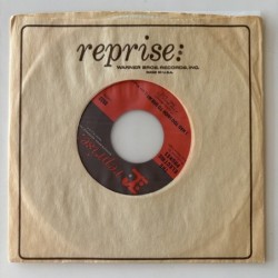 Electric Prunes - I had too much to dream  0532