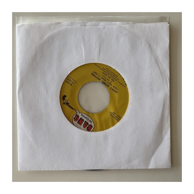 The McCoys - Don’t Worry Mother B-532