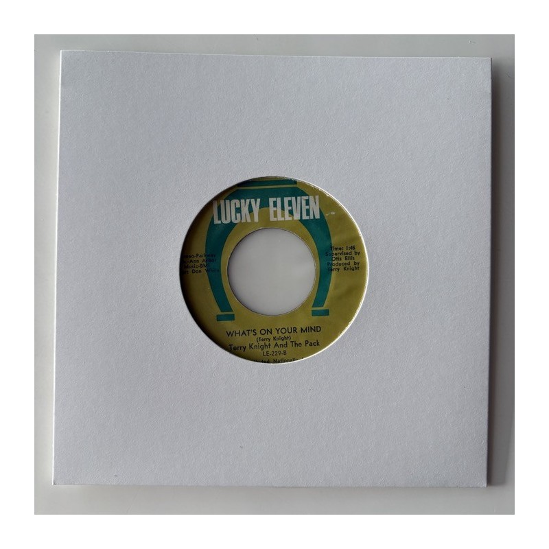 Terry Knight & the Pack - A Change on the Way LE-229