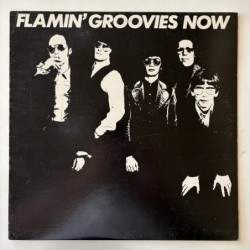 Flamin’ Groovies - Flamin’ Groovies Now SRK 6059