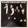 Flamin’ Groovies - Flamin’ Groovies Now SRK 6059